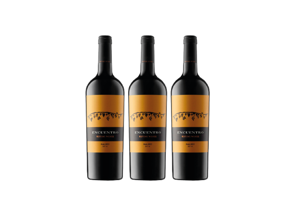 Imagen de Encuentro - Precio x 3 botellas